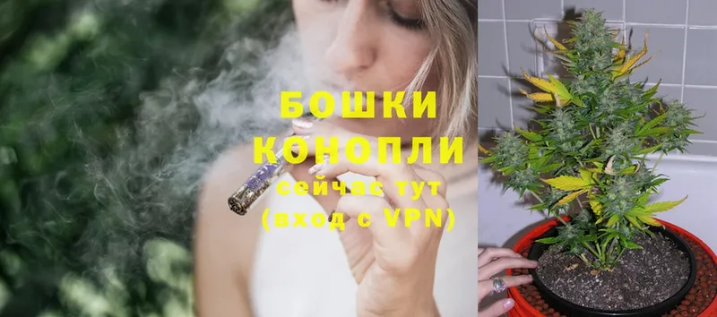 Бошки Шишки OG Kush  даркнет сайт  Петровск 